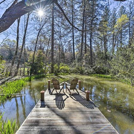 Peaceful Grass Valley Cottage With Bbq Grill And Yard! Zewnętrze zdjęcie