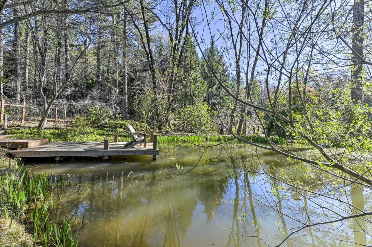 Peaceful Grass Valley Cottage With Bbq Grill And Yard! Zewnętrze zdjęcie