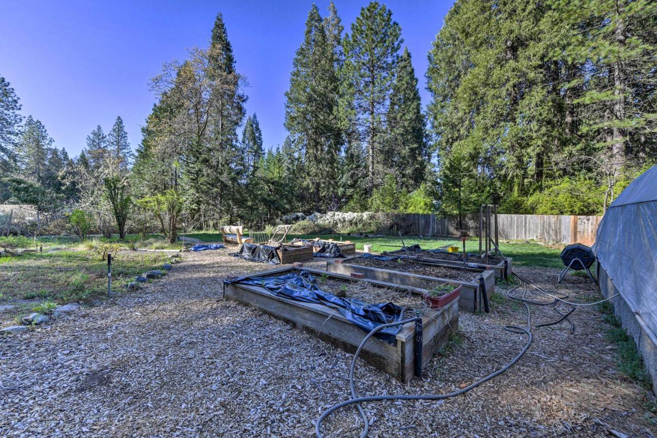 Peaceful Grass Valley Cottage With Bbq Grill And Yard! Zewnętrze zdjęcie