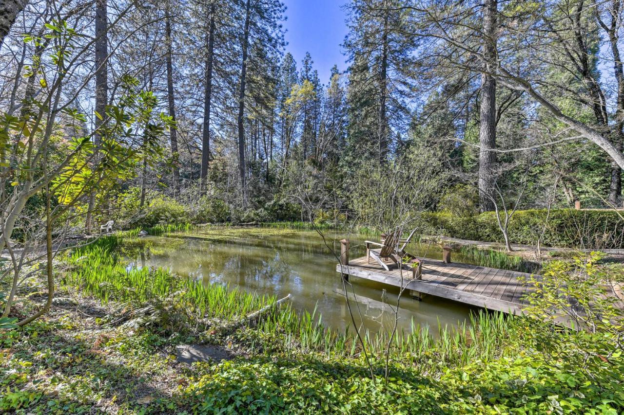 Peaceful Grass Valley Cottage With Bbq Grill And Yard! Zewnętrze zdjęcie